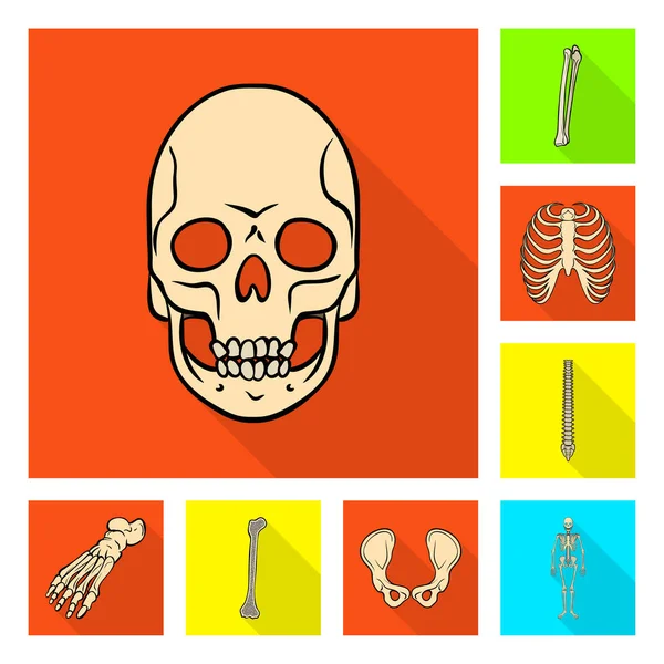 Векторний дизайн піктограми кістки та скелета. Збірка кістки і людини Векторна іконка для запасів . — стоковий вектор
