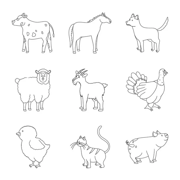 Illustrazione vettoriale dell'icona fatta in casa e di campagna. Raccolta di stock fatti in casa e l'agricoltura simbolo per il web . — Vettoriale Stock