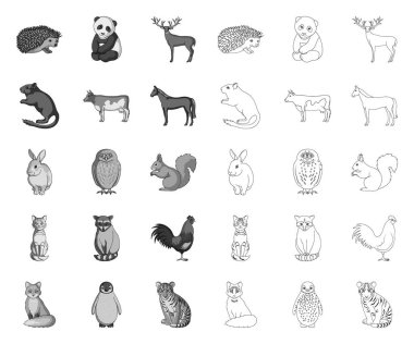 Gerçekçi hayvanlar mono, tasarım için set koleksiyonunda anahat simgeleri. Vahşi ve evcil hayvanlar vektör sembolü stok web illüstrasyon.