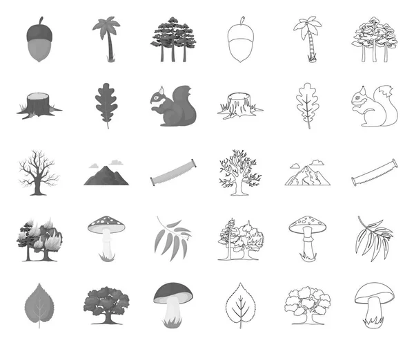 Bos en natuur mono, contour iconen in set collectie voorontwerp. Forest Life vector symbool voorraad Web illustratie. — Stockvector