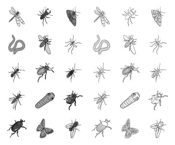 Diferentes tipos de insetos mono, ícones de contorno na coleção de conjuntos para design. Inseto artrópode vetor isométrico símbolo estoque web ilustração . — Vetor de Stock