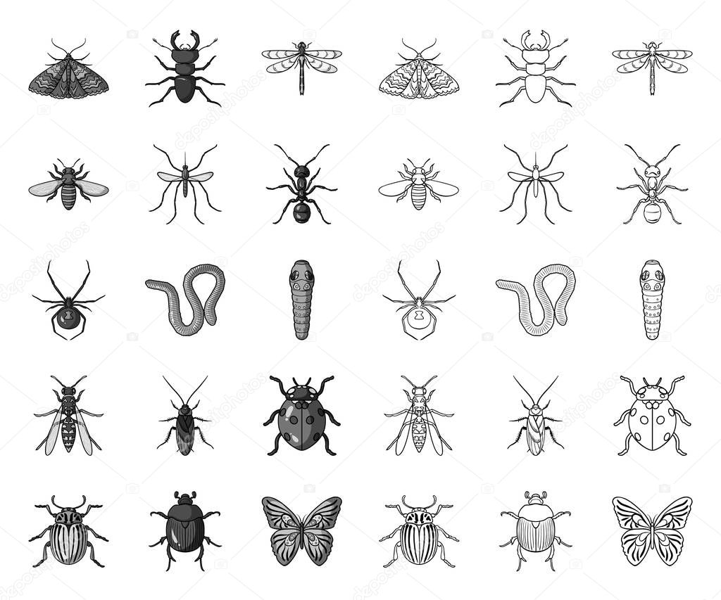 Different kinds of insects mono,outline icons in set collection for design. Insect arthropod vector symbol stock web illustration.