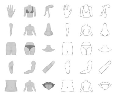 Vücudun bir parçası, ekstremite mono, tasarım için set koleksiyonunda anahat simgeleri. İnsan anatomisi vektör sembolü stok web illüstrasyon.