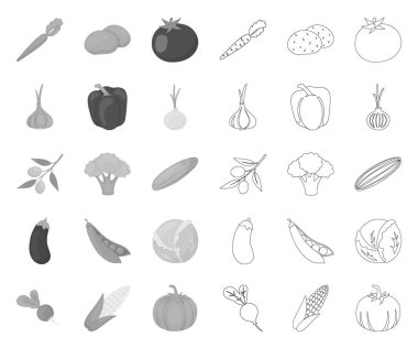 Tasarım için set koleksiyonunda farklı türde sebzeler mono, anahat simgeleri. Sebze ve vitaminler vektör sembolü stok web illüstrasyon.