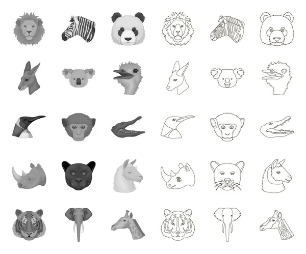 Vilda djur mono, kontur ikoner i set samling för design. Däggdjur och fågel vektor symbol stock web illustration. — Stock vektor