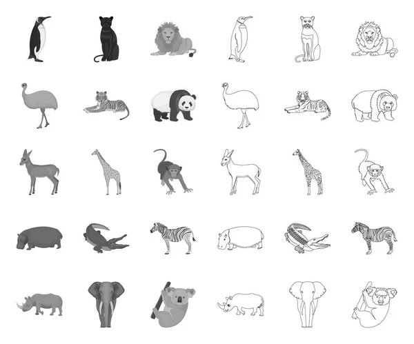 Verschillende dieren mono, contour iconen in set collectie voorontwerp. Vogel, roofdier en herbivoor vector symbool voorraad Web illustratie. — Stockvector