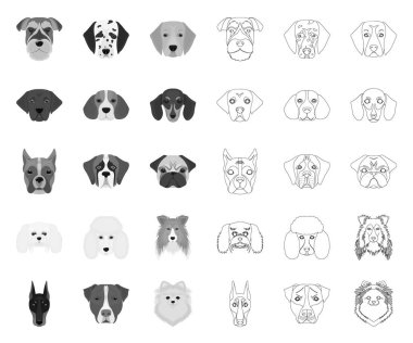 Köpek, tasarım için set koleksiyonunda mono,anahat simgeleri doğurur. Bir köpek vektör sembolü stok web illüstrasyon Namlu.