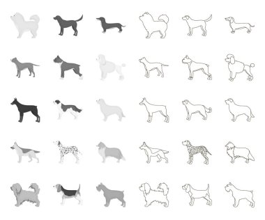Köpek, tasarım için set koleksiyonunda mono,anahat simgeleri doğurur. Köpek pet vektör sembolü stok web illüstrasyon.