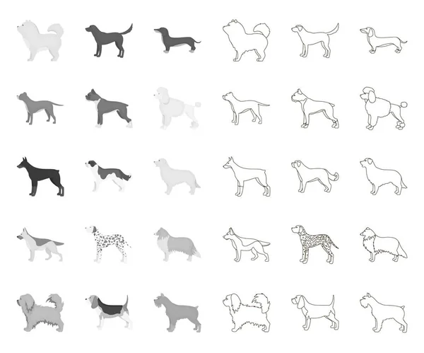 Perro razas mono, iconos de contorno en la colección de conjuntos para design.Dog mascota vector símbolo stock web ilustración . — Vector de stock