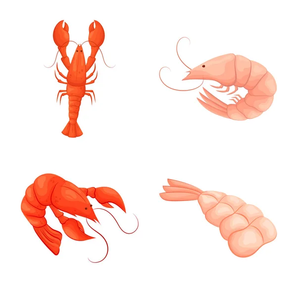 Ilustración vectorial de camarones y cangrejos. Conjunto de camarones y caldo de mar símbolo para web . — Archivo Imágenes Vectoriales
