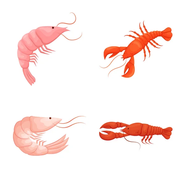 Ilustração vetorial do símbolo de camarão e caranguejo. Conjunto de camarão e caldo de mar símbolo para web . —  Vetores de Stock