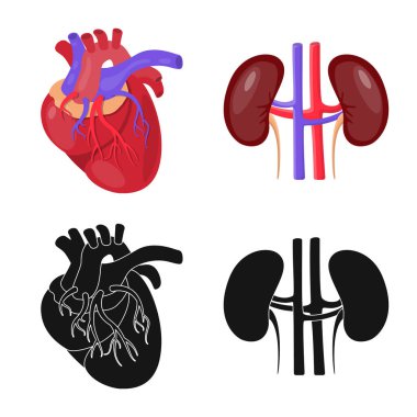 Biyoloji ve bilimsel simge vektör çizimi. Biyoloji ve laboratuvar hisse senedi vektör çizim topluluğu.