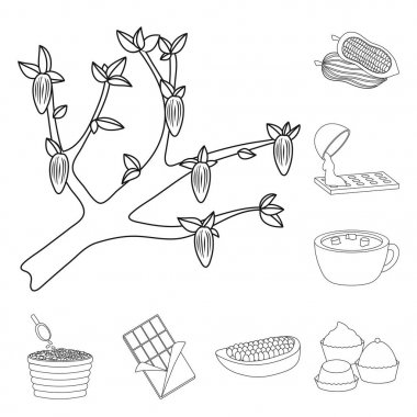 Kakao ve fasulye simgesinin izole nesnesi. Stok için kakao ve tatlılık vektör simgesi seti.