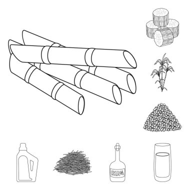 Şeker ve alan sembolü vektör illüstrasyon. Stok için şeker ve ekim vektör simgesinin toplanması.