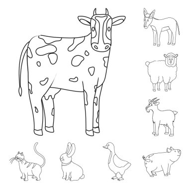 Ev yapımı ve kırsal sembolü vektör tasarımı. Ev yapımı ve tarım stok vektör illüstrasyon seti.