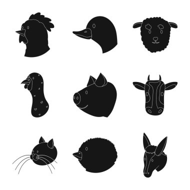 Çiftlik ve organik simge vektör tasarımı. Stok lar için çiftlik ve baş vektör simgesi seti.