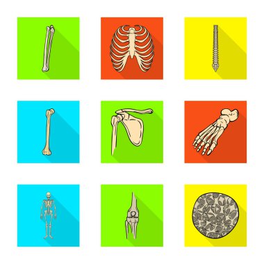 Kemik ve iskelet simgesinin vektör çizimi. Stok için kemik ve insan vektör simgesi koleksiyonu.