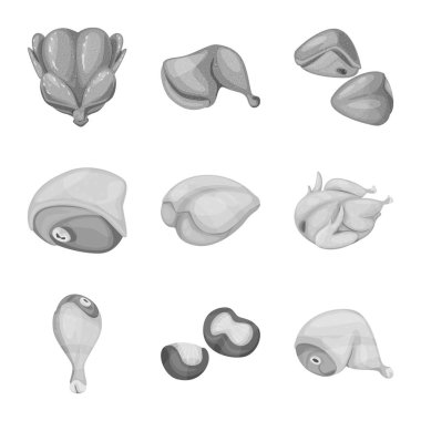 Mutfak vektör tasarımı ve kuş işareti. Web için mutfak ve kümes hayvanı stok sembolü seti.