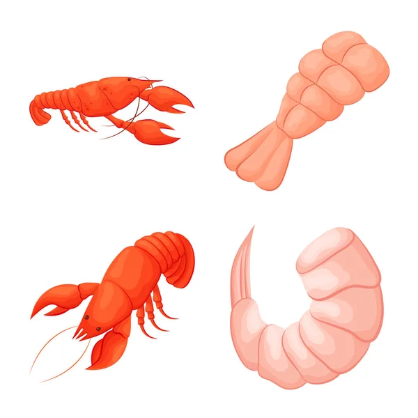Projeto vetorial de camarão e caranguejo ícone. Conjunto de camarão e caldo de mar símbolo para web . — Vetor de Stock