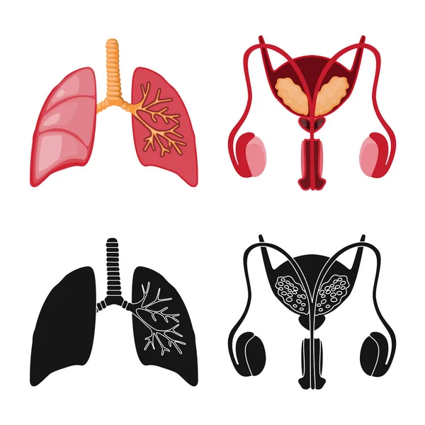 Ilustração vetorial da biologia e do símbolo científico. Coleta de biologia e símbolo de estoque de laboratório de web . — Vetor de Stock