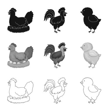 Üreme ve mutfak simge vektör tasarımı. Set ıslahının ve organik stok vektör çizim.