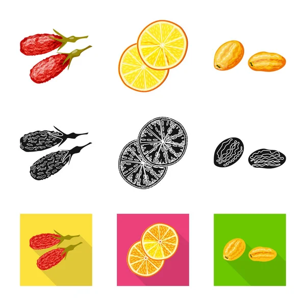 Objeto aislado de alimento y logotipo crudo. Colección de alimentos y naturaleza vector de stock ilustración . — Vector de stock
