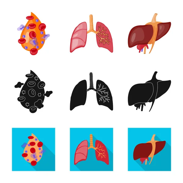 Ilustração vetorial da biologia e ícone científico. Conjunto de biologia e ícone de vetor de laboratório para estoque . — Vetor de Stock