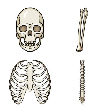 Kemik ve iskelet sembolü izole nesne. Web için kemik ve insan stok sembolü koleksiyonu.