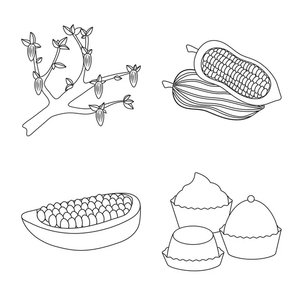 Vektorillustration des Kakao-Bohnen-Zeichens. Set von Kakao und Süße Aktiensymbol für Web. — Stockvektor