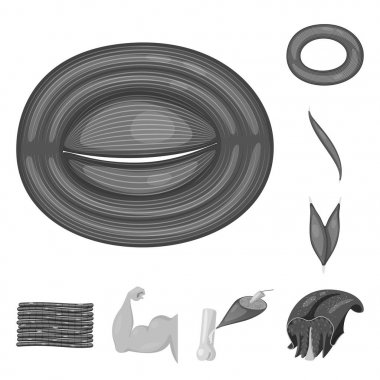 İnsan izole nesne ve vücut logosu. Hisse senedi için simge vektör insan topluluğu ve hücreleri.