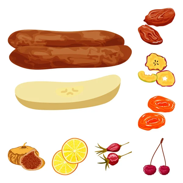 Illustrazione vettoriale di frutta e icona essiccata. Raccolta dell'icona del vettore frutta e cibo per le scorte . — Vettoriale Stock