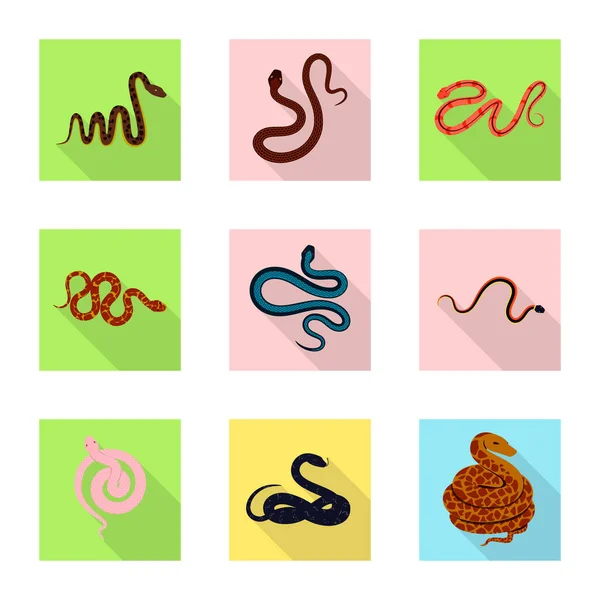 Diseño vectorial de la piel y signo de reptil. Colección de piel y símbolo de stock de peligro para web . — Vector de stock