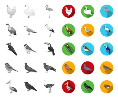 Tasarım için set koleksiyonunda kuş mono, düz simgeler türleri. Ev ve yabani kuş vektör sembolü stok web illüstrasyon.