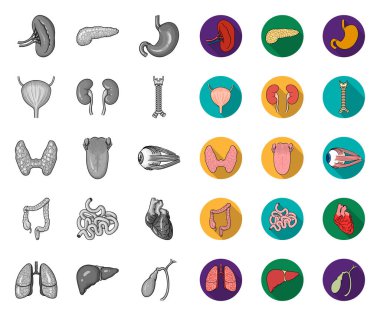 İnsan organları mono, tasarım için set koleksiyonunda düz simgeler. Anatomi ve iç organlar vektör sembolü stok web illüstrasyon.