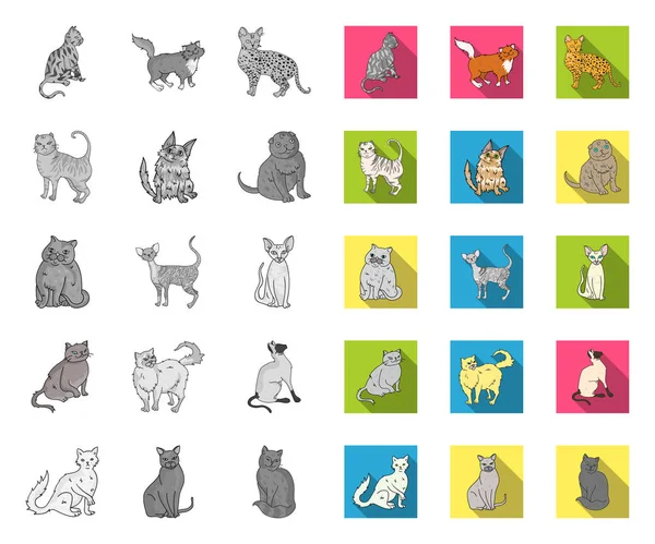 Races de chats mono, des icônes plates dans la collection ensemble pour le design. Animaux chat vecteur symbole stock web illustration . — Image vectorielle