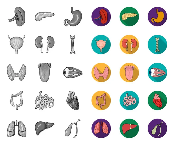 人体器官单一，平面图标在集合集合设计。解剖和内部器官矢量符号库存网络插图. — 图库矢量图片