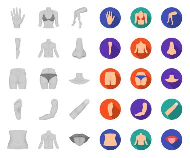Vücudun bir parçası, ekstremite mono, tasarım için set koleksiyonunda düz simgeler. İnsan anatomisi vektör sembolü stok web illüstrasyon.