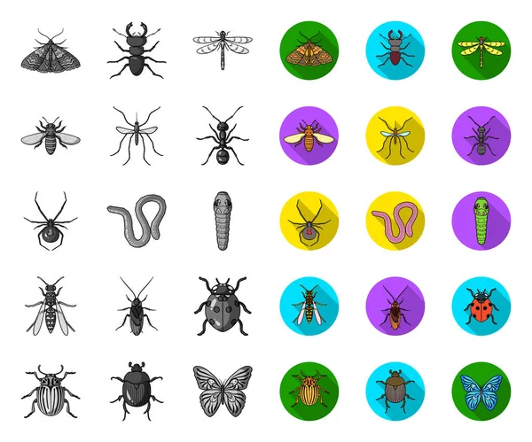 Diferentes tipos de insetos mono, ícones planos na coleção de conjuntos para design. Inseto artrópode vetor símbolo web ilustração . — Vetor de Stock