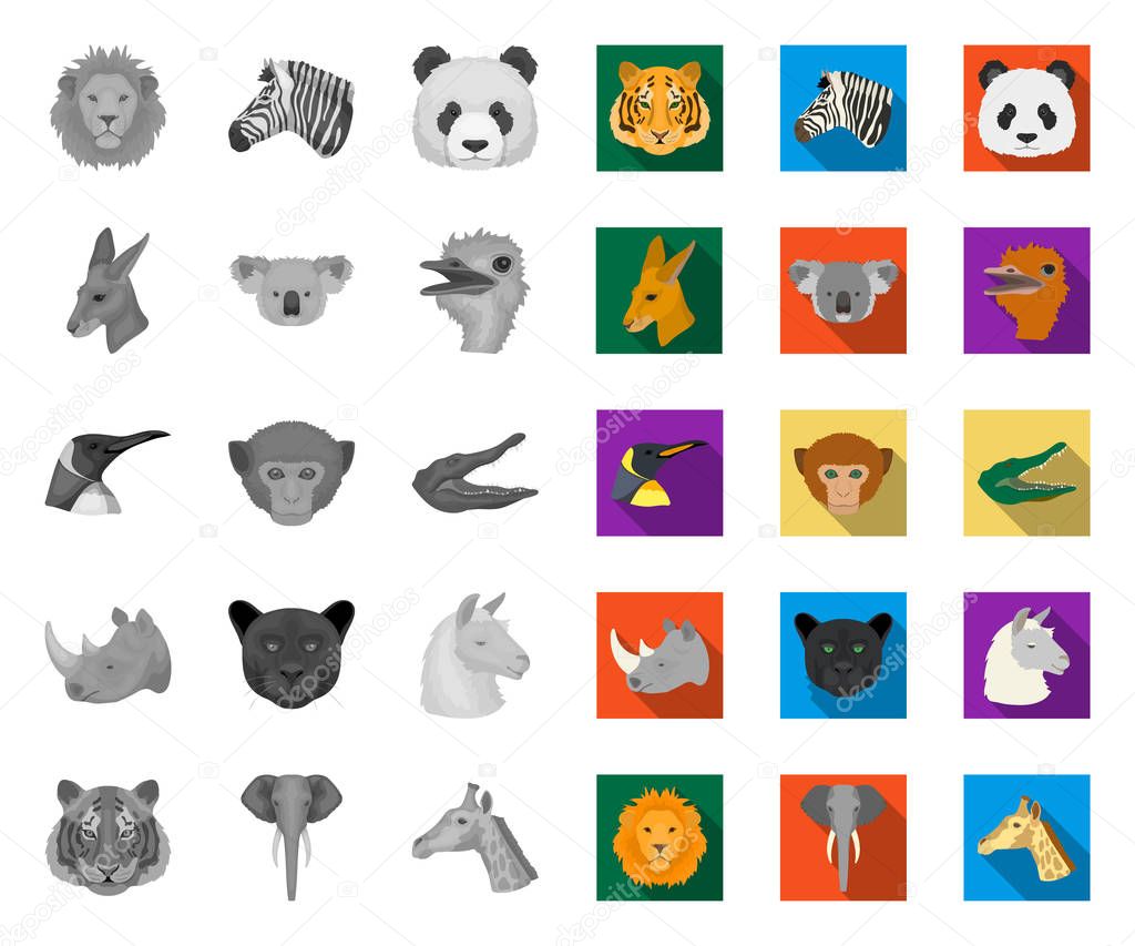 Wild animal mono,flat icons in set collection for design. Mammal and bird vector symbol stock web illustration.