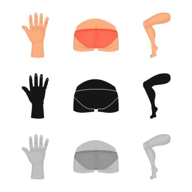 Vücut ve bölümü simgesi yalıtılmış nesne. Vücut ve anatomi hisse senedi vektör çizim topluluğu.