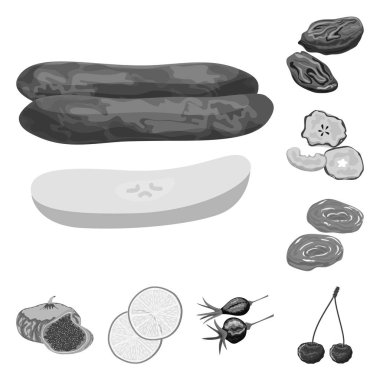 Vitamin ve doğa sembolünün izole nesne. Web için vitamin ve kurutulmuş stok sembolü koleksiyonu.