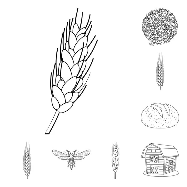 農業と農業のロゴのベクトル イラスト。在庫のための農業と植物のベクトルのアイコンのセット. — ストックベクタ