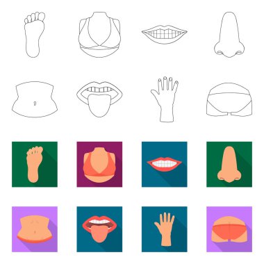 Vücut ve bölüm işareti yalıtılmış nesne. Hisse senedi için vücut ve anatomi vektör simge topluluğu.