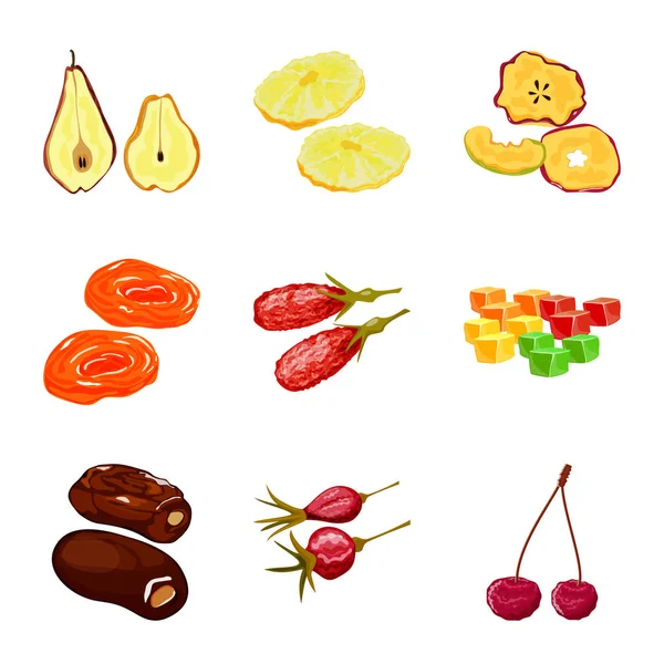 Design vetorial de frutas e ícone seco. Conjunto de símbolo de estoque de frutas e alimentos para web . — Vetor de Stock