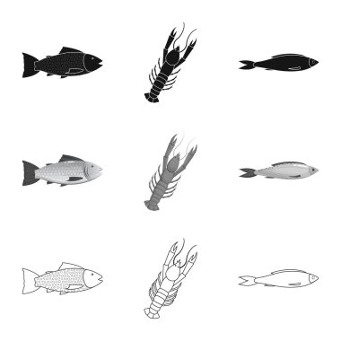 Taze vektör çizim ve restoran oturum açın. Taze ve deniz hisse senedi vektör çizim seti.