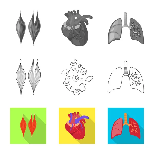 Diseño vectorial de biología y logotipo científico. Conjunto de símbolo de stock de laboratorio y biología para web . — Archivo Imágenes Vectoriales