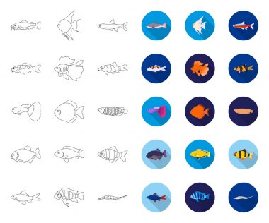 Farklı balık anahattı, tasarım için set koleksiyonunda düz simgeler. Deniz ve akvaryum balık vektör sembolü stok web illüstrasyon.