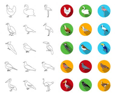 Kuş türleri anahat, tasarım için set koleksiyonunda düz simgeler. Ev ve yabani kuş vektör sembolü stok web illüstrasyon.