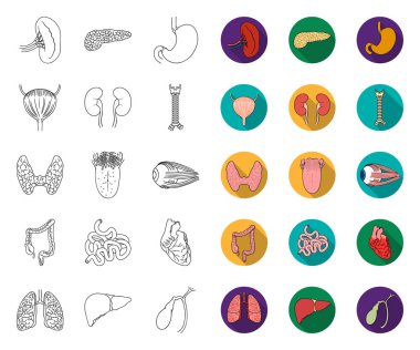 İnsan organları anahat, tasarım için set koleksiyonunda düz simgeler. Anatomi ve iç organlar vektör sembolü stok web illüstrasyon.