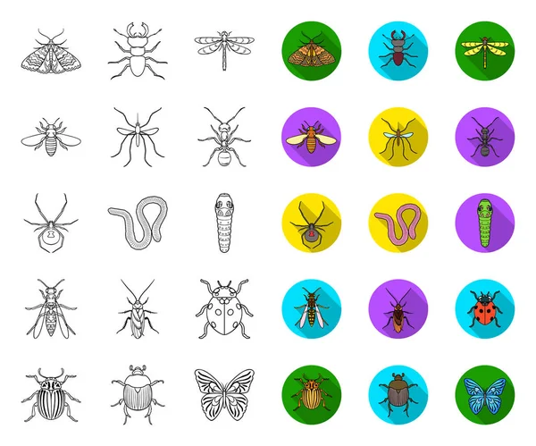 Verschiedene Arten von Insekten umreißen, flache Symbole in Set Sammlung für Design. Insekt Arthropoden Vektor Symbol Stock Web Illustration. — Stockvektor